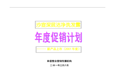 42 沙宣深层洁净洗发露上市策划方案.doc 全文免费在线看-免费阅读-max文档投稿赚钱网